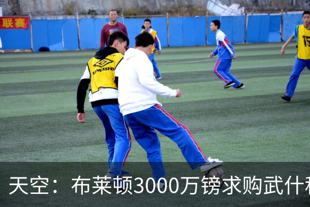天空：布莱顿3000万镑求购武什科维奇，预计热刺对其估值超6000万